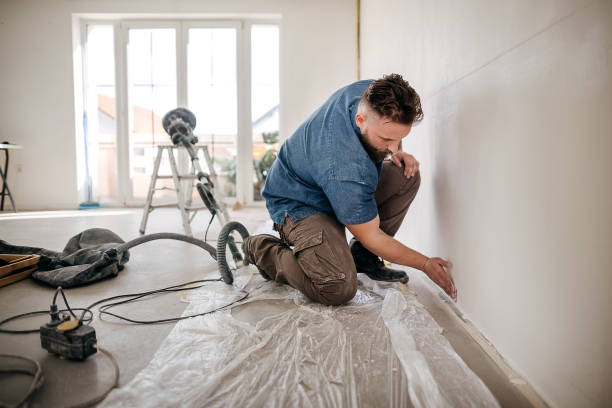 Best Ceiling Drywall Installation  in Brusly, LA